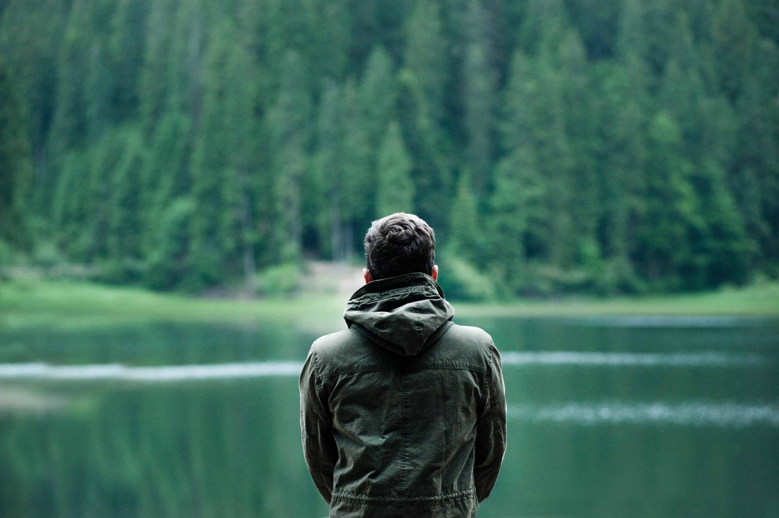 A person in a green jacket stands near a calm lake, facing a dense forest.